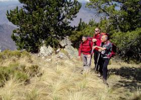 photo coins arrondis